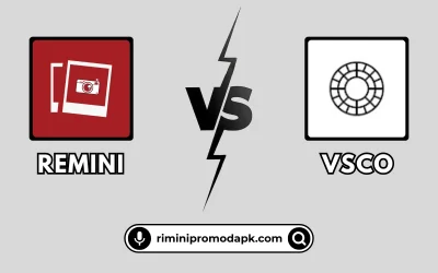 Remini vs VSCO: AI Enhancer vs Filter Aesthetic (2025)